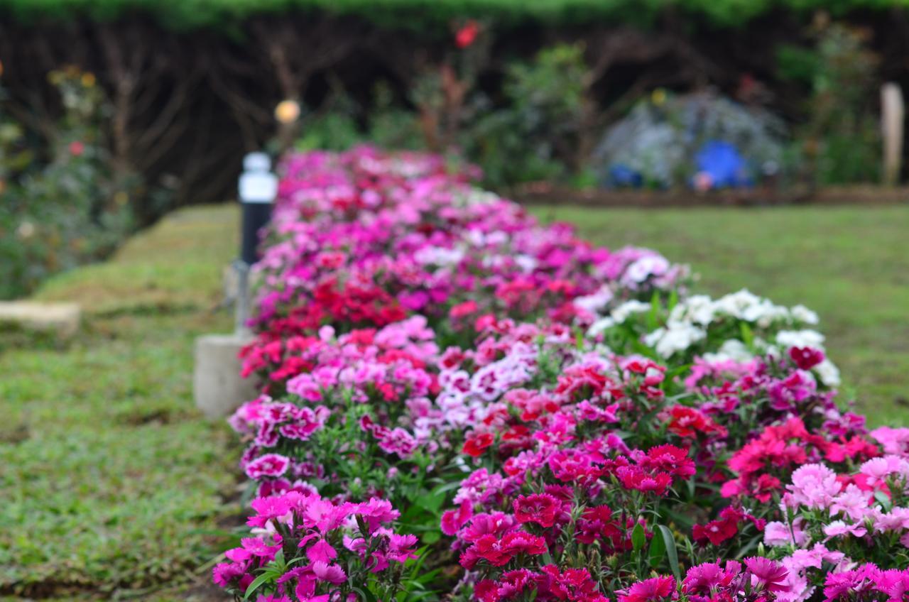 Ripon Grand Hill By Ehi Hotel Nuwara Eliya Exterior photo